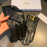 Dior Gloves In Black