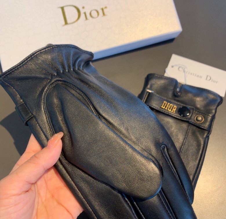 Dior Gloves In Black