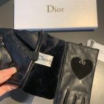 Dior Gloves In Black