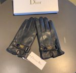 Dior Gloves In Black