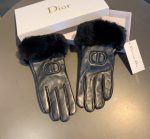 Dior Gloves In Black