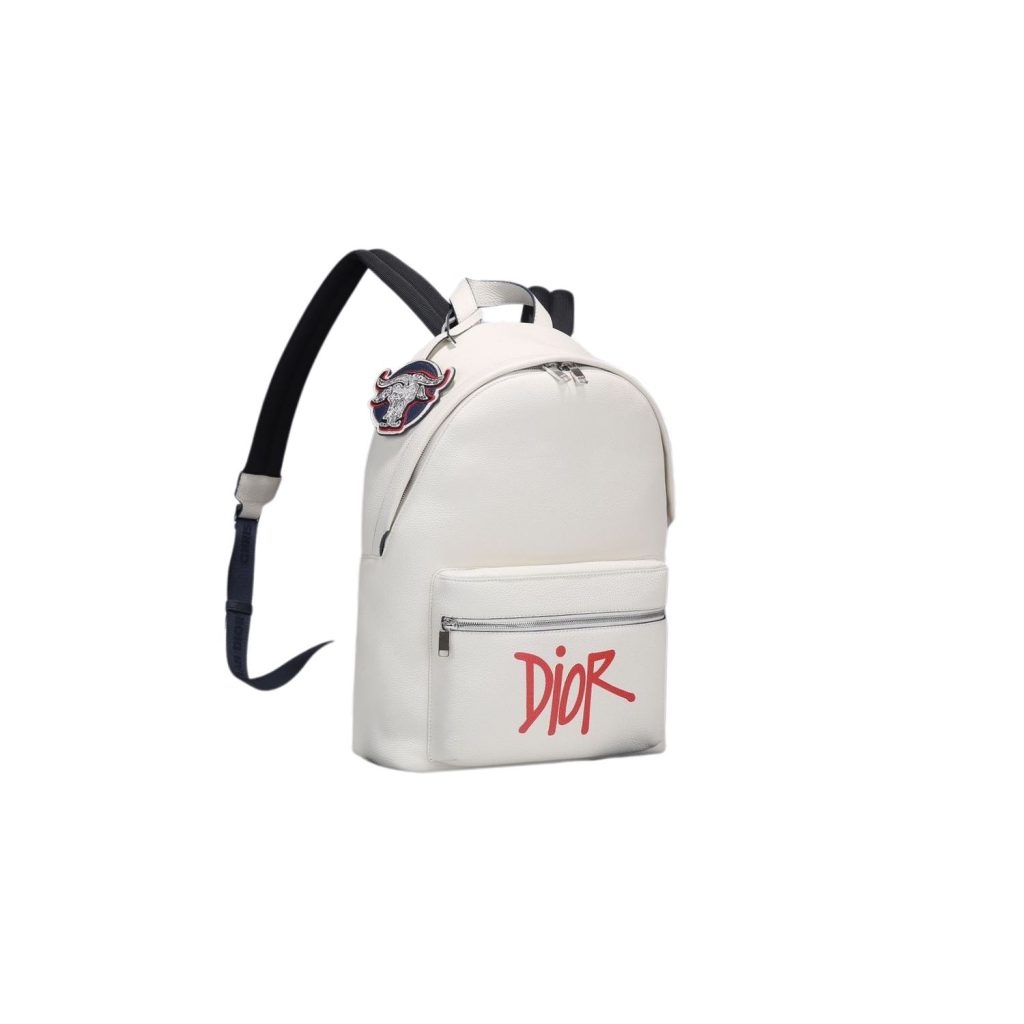 Dior Rider Backpack White For Men 16.5 in/42 cm