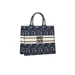 Dior Large Book Tote Bag Blue And White For Women 42cm/16.5in – M1286ZEZE_M19Q