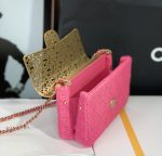 Mini Evening Bag Light Pink/Pink/Balck For Women 4.7 in / 12 cm  AS3526 B09388 NL020