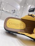 Christian Dior Women’s Diorquake Clog Yellow For Women CD