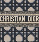 Christian Dior Medium Dior Book Tote Beige And Blue Bag For Women M1296ZZAU_M928- 14 Inches/ 36 Cm